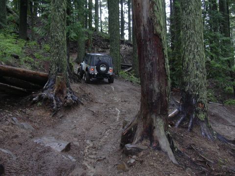 1991 Ford Bronco - A silver Jeep Wrangler navigates a narrow, muddy path through a dense, moss-covered forest.