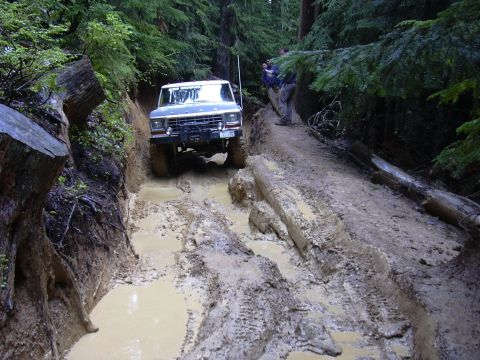 1991 Ford Bronco - A Ford Bronco navigates a challenging, muddy off-road path surrounded by dense forest.