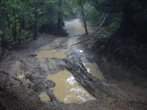1991 Ford Bronco - A treacherous, muddy path winds through a dense forest, challenging any vehicle that attempts to traverse it.