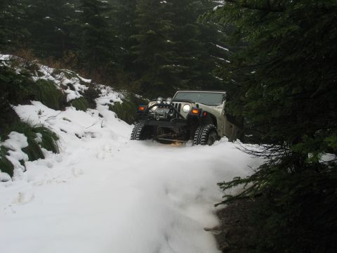 1991 Ford Bronco - Jeep Wrangler navigating a snowy forest road in May.