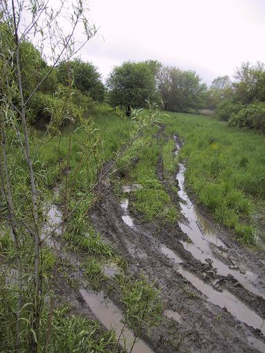 1993 Ford Bronco - A muddy track winds through a grassy field under an overcast sky.