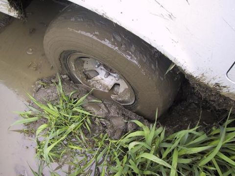 1993 Ford Bronco - A vehicle is stuck in the mud, with its tire submerged.