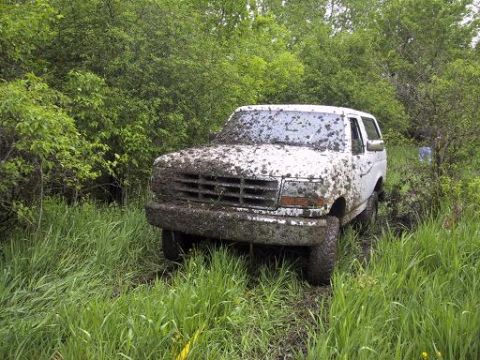 1993 Ford Bronco - This 1993 Ford Bronco navigates a muddy off-road trail.