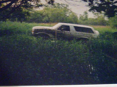 1993 Ford Bronco - Ford Bronco stuck in tall grass, likely off-roading.