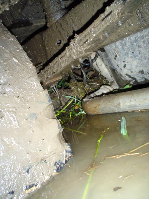 1993 Ford Bronco - Undercarriage of a vehicle heavily coated in mud and partially submerged in water.