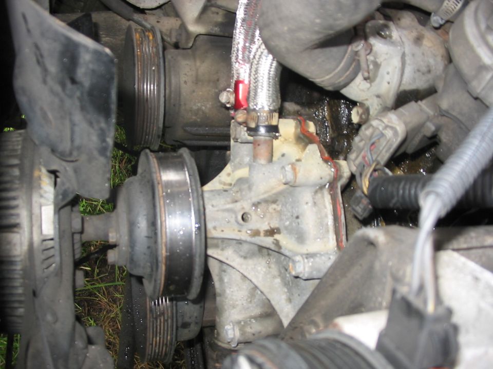 all dried up and pretty, not a leak in sight!