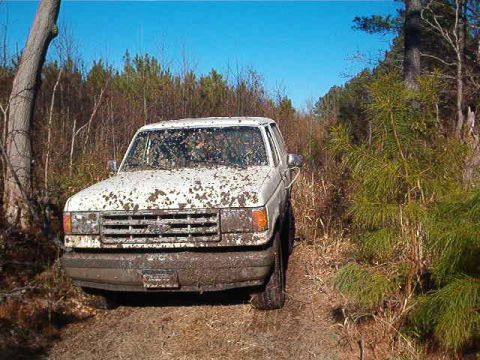 1988 Ford Bronco photo