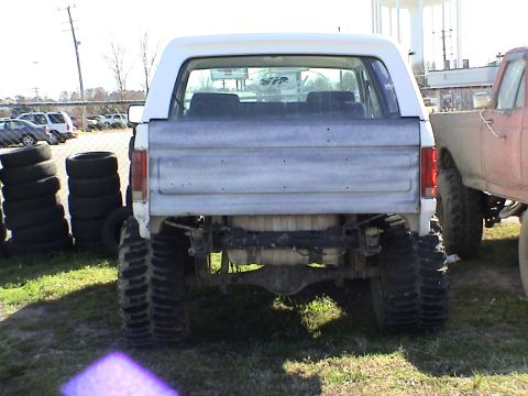 1982 Ford Bronco photo