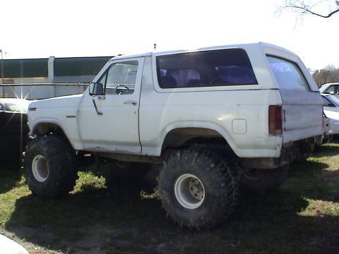 1982 Ford Bronco photo