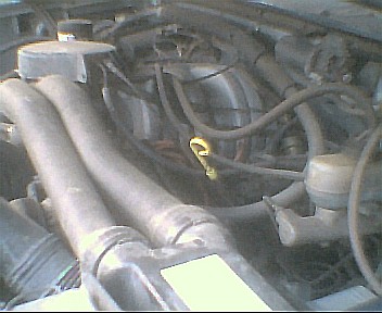 1988 Ford Bronco photo