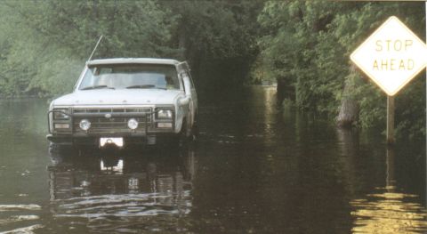 1980 Ford Bronco - With all the rain WI has had lately, there is fun to be had.