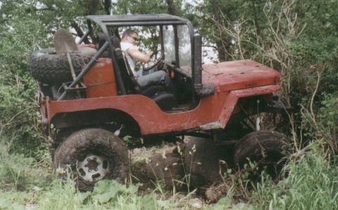 1980 Ford Bronco - Results are nice...
