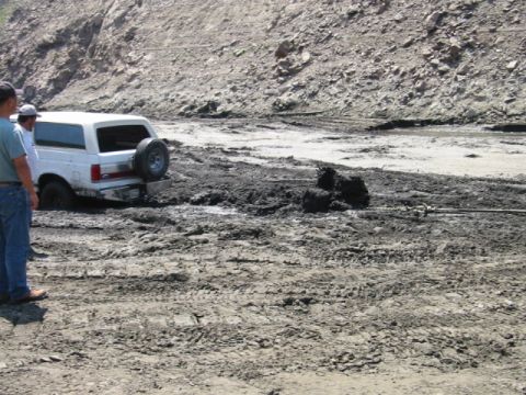 1985 Ford Bronco - So i pulled it out
