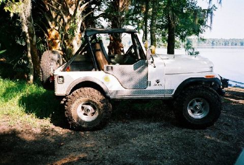 1995 Ford Bronco - Roy's Jeep.