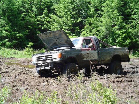 1993 Ford Bronco - This muddy 1987 Ford F-Series truck is stuck in a wooded area with its hood up.