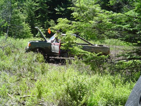 1993 Ford Bronco - A muddy truck with its hood up is stuck in a wooded area with dense foliage.