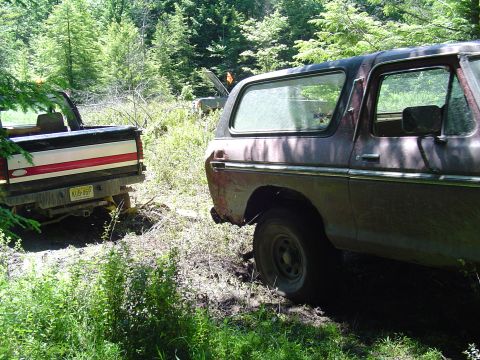 1993 Ford Bronco - Two vehicles, an old SUV and a pickup truck, are partially obscured by foliage in a wooded off-road setting.