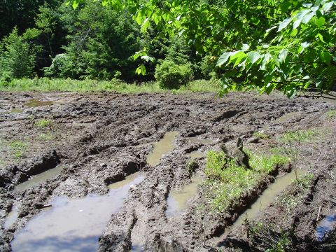 1993 Ford Bronco - Deep tire ruts mark a muddy path through a wooded area after rain.