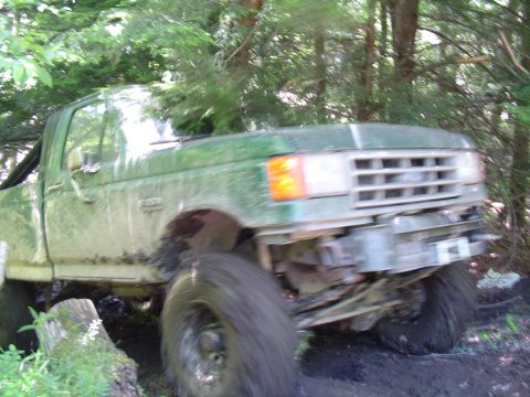 1993 Ford Bronco - This green 1993 Ford F-150 pickup truck appears to be stuck in a muddy, wooded area.