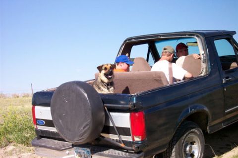 1995 Ford Bronco - Topless dark Ford Bronco in a grassy field with a German shepherd in the cargo area and two people seated up front.