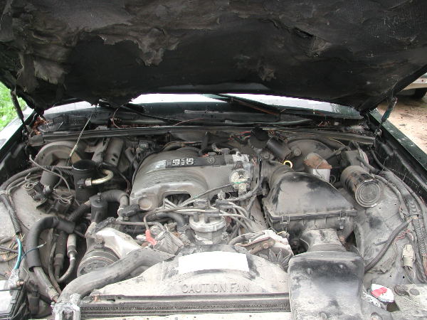 Fuel-injected V8 engine bay with CAUTION FAN shroud and torn hood insulation