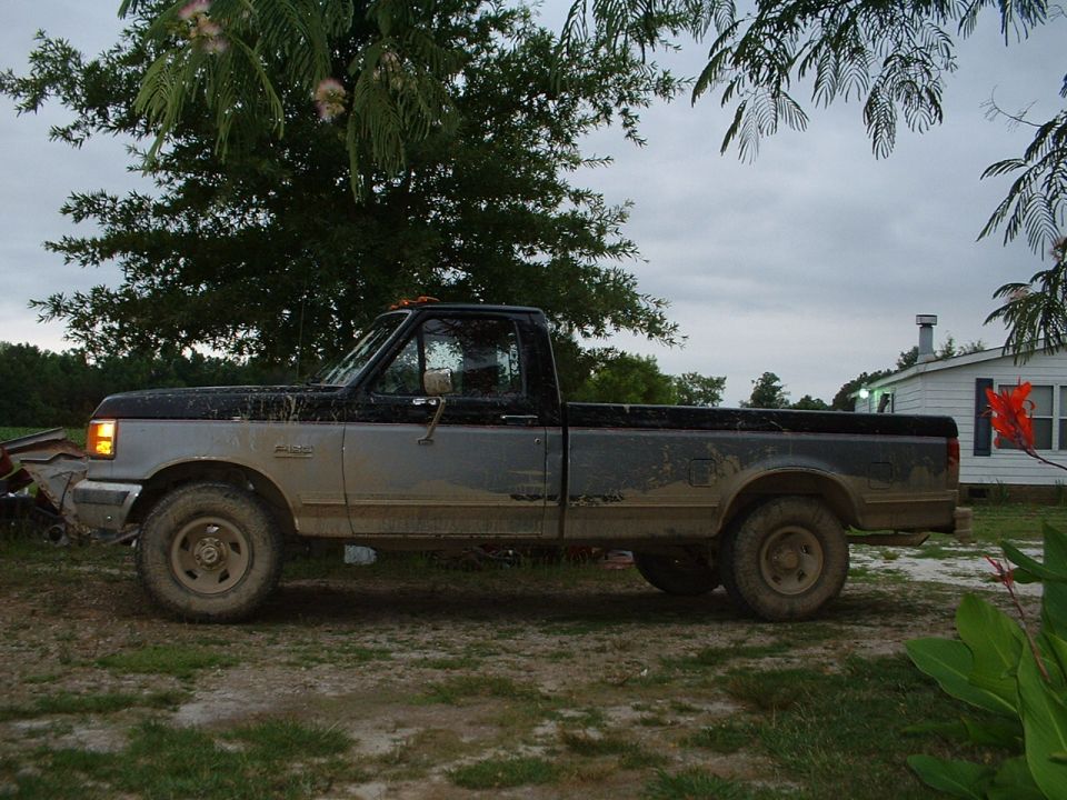 Doesn't look too muddy.