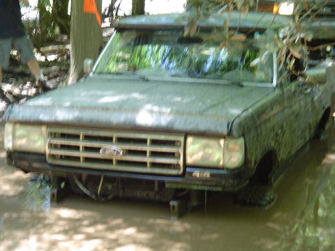 1993 Ford Bronco - This muddy 1987 Ford Bronco is stuck in a wooded area, with an orange flag visible on a nearby tree.