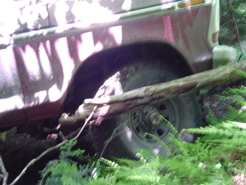 1993 Ford Bronco - A red SUV is partially obscured by foliage and a fallen log, showing its side profile and wheel.