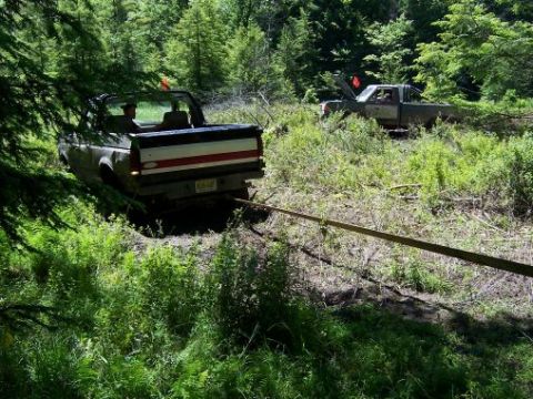 1996 Ford Bronco - Two trucks are stuck in a wooded area, with one attempting to tow the other.