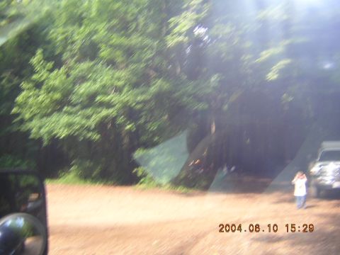 1984 Chevrolet Blazer - A truck is parked on a dirt road, with a person standing next to it. Trees surround the area.