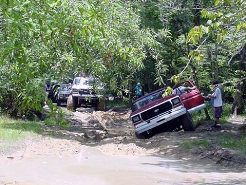 1979 Ford Bronco - Several off-road vehicles are stuck in the mud on a wooded trail.