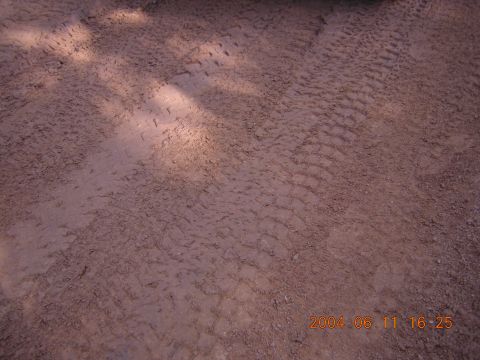 1984 Chevrolet Blazer - Tire tracks in dirt, dated 2004. The album claims this is a 1984 Chevrolet Blazer.