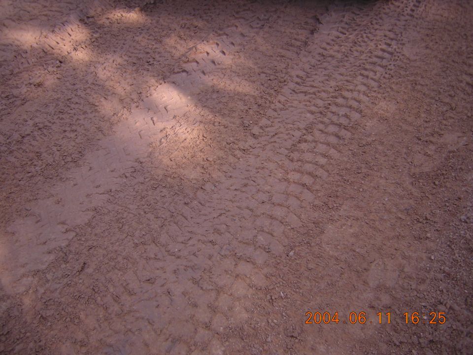 Tire tracks imprinted in dirt, with shadows from overhead foliage