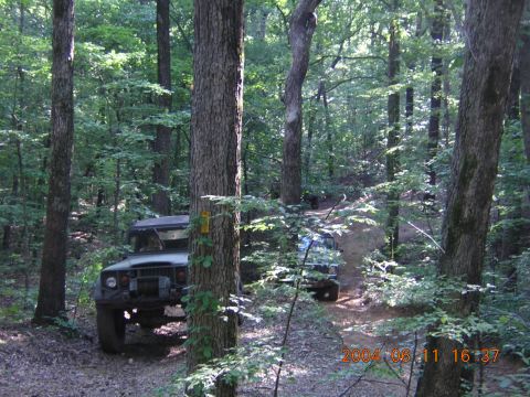 1984 Chevrolet Blazer - Two Jeep Cherokees navigate a wooded trail on a sunny day.