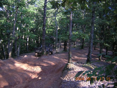 1984 Chevrolet Blazer - An off-road vehicle navigates a dirt trail through a wooded area.
