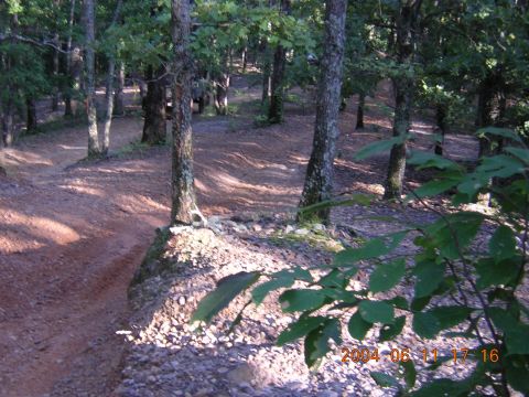 1984 Chevrolet Blazer - A dirt path navigates through a sun-dappled forest, with trees and foliage lining the way.