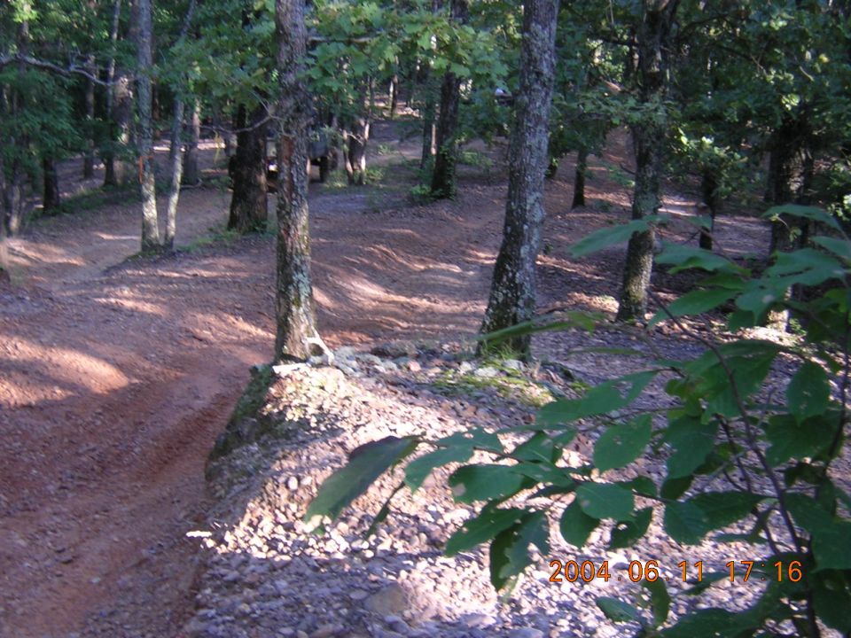 Dirt trail winding through a wooded area with trees and rocks. Date stamp in corner