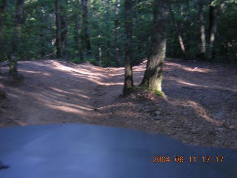 1984 Chevrolet Blazer - Driving on a dirt road in a wooded area, with a portion of the vehicle's hood visible.
