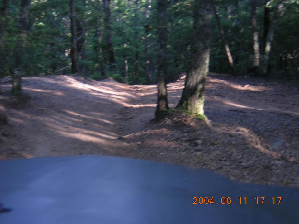 Dirt road through a forest with sunlight filtering through trees. Part of a dark vehicle hood is in the foreground