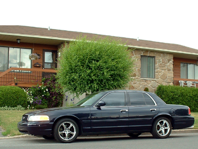 2000 Ford Crown Victoria - Current setup.