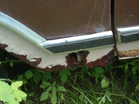 1986 Ford Bronco - Detail of significant rust and peeling paint on the lower body panel of a vehicle, with overgrown vegetation in the foreground.