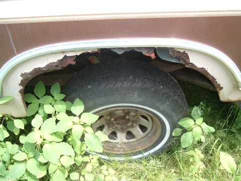1986 Ford Bronco - The rear wheel well of a vehicle shows significant rust damage and is overgrown with weeds.