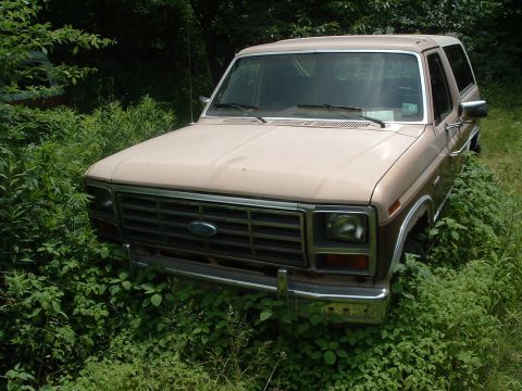 1986 Ford Bronco photo