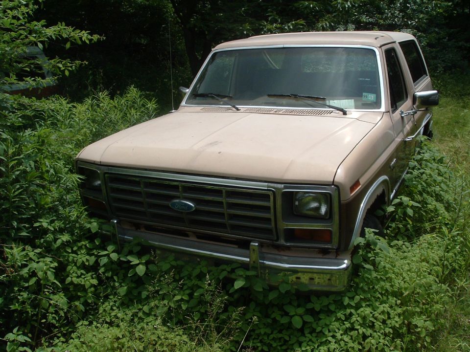 1986 Ford Bronco