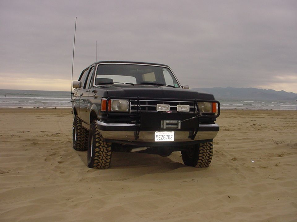 Bronco posing