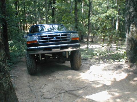 1995 Ford Bronco - This 1995 Ford Bronco navigates a wooded trail, its off-road capabilities.