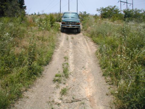 1995 Ford Bronco - A green SUV navigates a rough dirt track through overgrown vegetation under a clear sky.