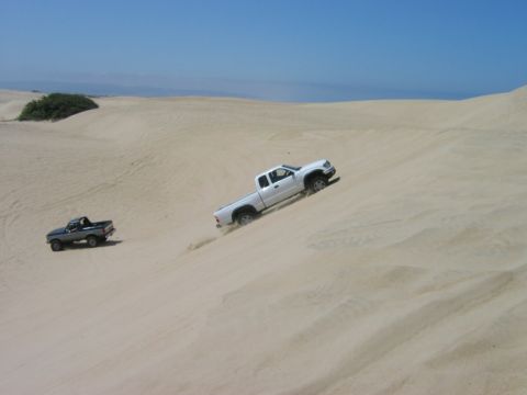 1985 Ford Bronco - Two trucks navigate sandy terrain under a clear blue sky.