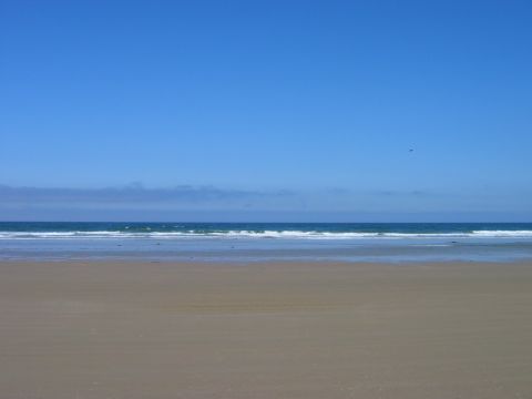 1985 Ford Bronco - Ocean waves meet the sandy shore under a vast blue sky.