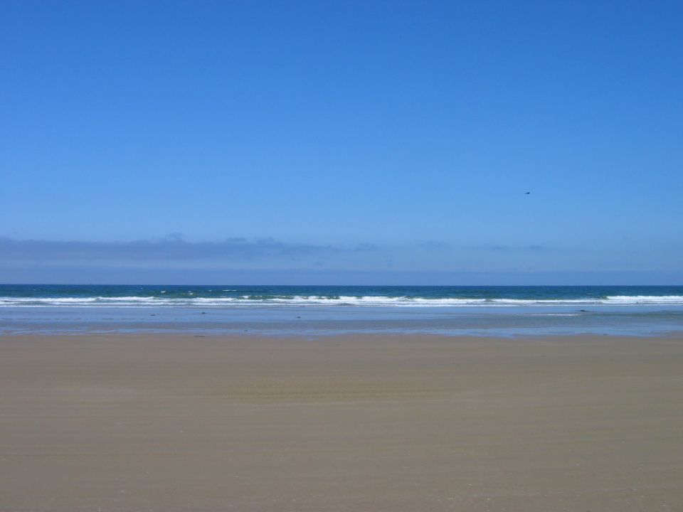 Empty sandy beach with ocean waves under a clear blue sky